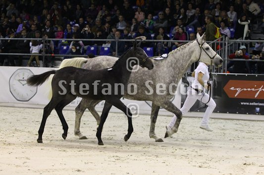 CA D ORO_MILANO_2010_SS3_3948.jpg